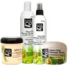 Pack cheveux secs et abîmés Elasta QP