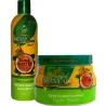 Duo réparateur cheveux secs Botanicals Soft & Beautiful