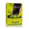 Poudre d'amla Hesh